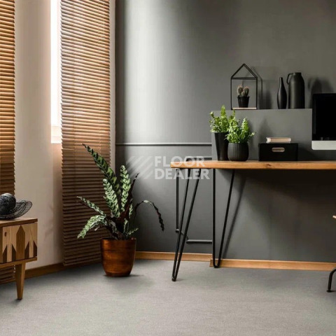AW Westminster / Вестминстер 49 фото 2 | FLOORDEALER
